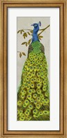 Framed Vintage Peacock II