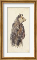 Framed Brown Bear Stare II