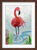 Framed Vivid Flamingo II