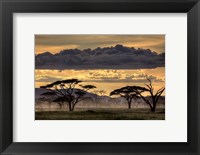 Framed Good Evening Tanazania