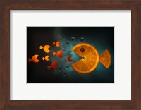 Framed Orange Fish