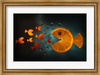 Framed Orange Fish