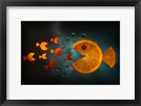 Framed Orange Fish