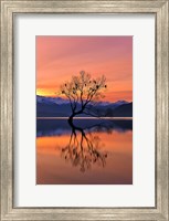 Framed Lone Tree Is Not Lonely