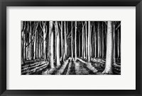 Framed Ghost Forest