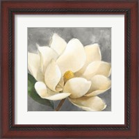 Framed Magnolia Blossom on Gray