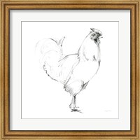 Framed Rooster II Dark Square