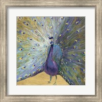 Framed Purple and Gold Peacock