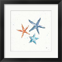 Maritime XII Framed Print