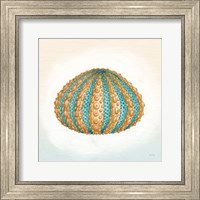 Framed Boardwalk Urchin