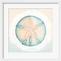 Framed Boardwalk Sand Dollar