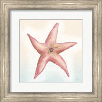 Framed Boardwalk Starfish