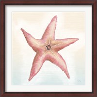 Framed Boardwalk Starfish