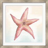 Framed Boardwalk Starfish