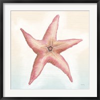 Framed Boardwalk Starfish