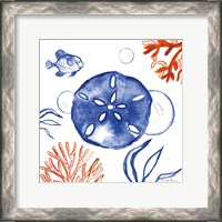 Framed 'Coastal Jewels IV' border=