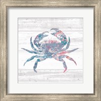 Framed Ocean Life I