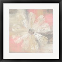 Nimbus Bloom I Framed Print