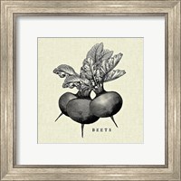 Framed 'Linen Vegetable BW Sketch Beets' border=