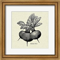 Framed 'Linen Vegetable BW Sketch Beets' border=