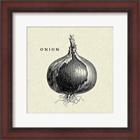 Framed 'Linen Vegetable BW Sketch Onion' border=