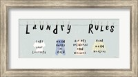 Framed Laundry Rules I