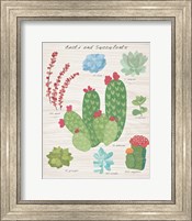 Framed Succulent and Cacti Chart IV on Wood