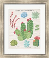 Framed Succulent and Cacti Chart IV on Wood