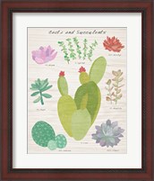 Framed Succulent and Cacti Chart III on Wood