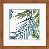 Framed 'Palm Leaves III' border=
