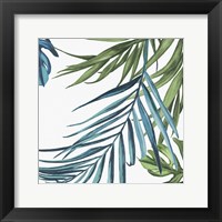 Framed Palm Leaves III