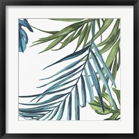 Framed Palm Leaves III