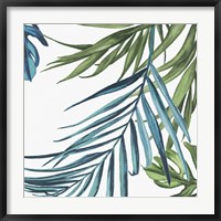 Framed Palm Leaves III