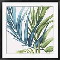 Framed Palm Leaves IV