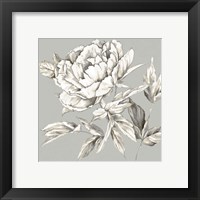 Framed 'Botanical III' border=