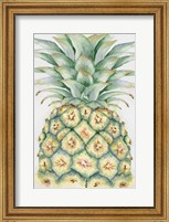 Framed Fruit IV