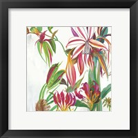 Framed 'Tropical III' border=