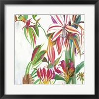 Tropical III Framed Print