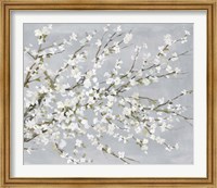 Framed White Blossoms