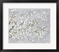 Framed White Blossoms