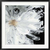 Framed Black Peony