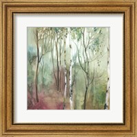 Framed Birch in the Fog I