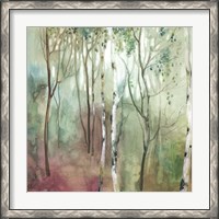 Framed Birch in the Fog I