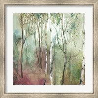 Framed Birch in the Fog I