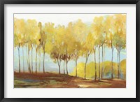 Framed Yellow Trees