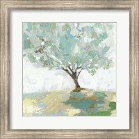 Framed Pear Tree