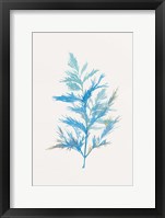 Whimsical Botanical I Framed Print