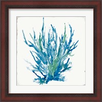 Framed 'Blue Coral I' border=