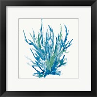 Framed 'Blue Coral I' border=