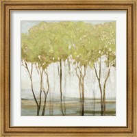 Framed 'Green Canopy II' border=